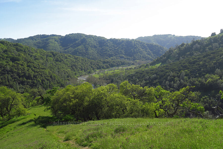 Coyote Creek Valley [Steer Ridge Trail, Henry W. Coe State Park, Santa Clara County, California]