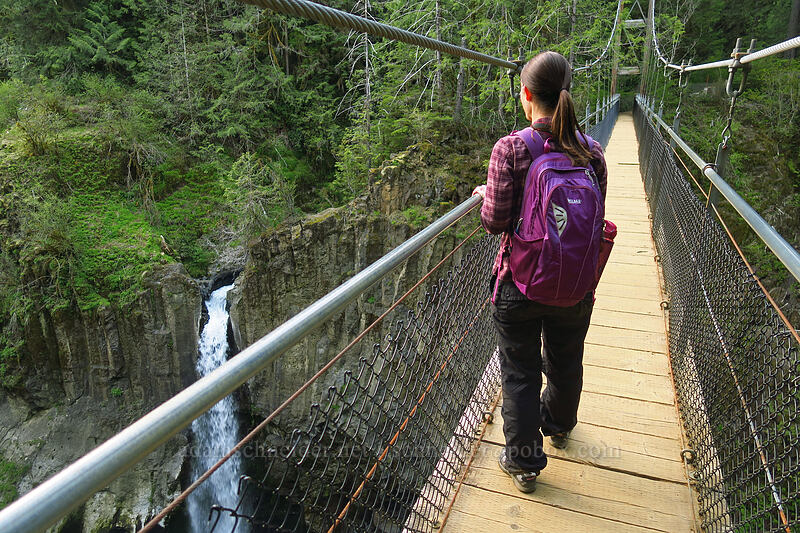 suspension bridge [Drift Creek Falls Trail, Siuslaw National Forest, Lincoln County, Oregon]