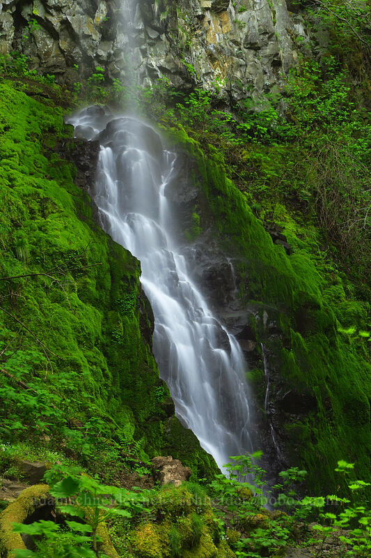 bottom of Cabin Creek Falls [Mt. Defiance Trail, Starvation Creek State Park, Hood River County, Oregon]