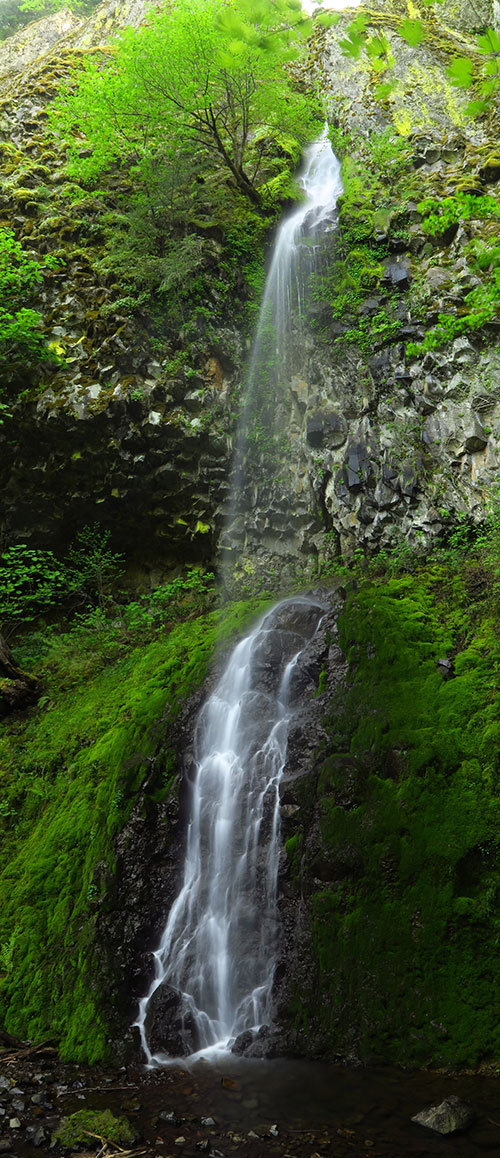 Cabin Creek Falls vertical panorama [Mt. Defiance Trail, Starvation Creek State Park, Hood River County, Oregon]