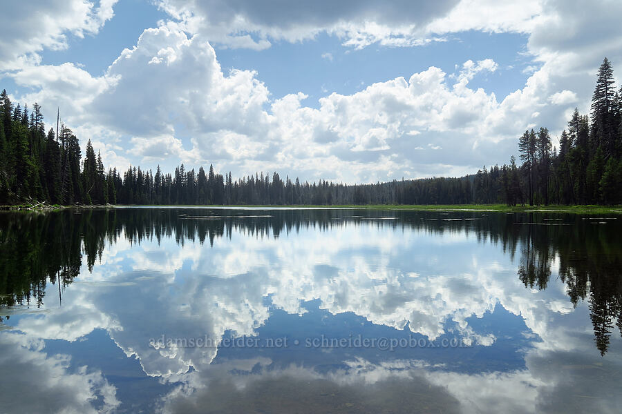 cloud reflections [Blue Lagoon Trail, Deschutes National Forest, Deschutes County, Oregon]