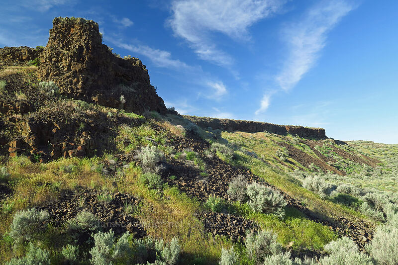 edge of Moses Coulee [Moses Coulee Preserve, Douglas County, Washington]