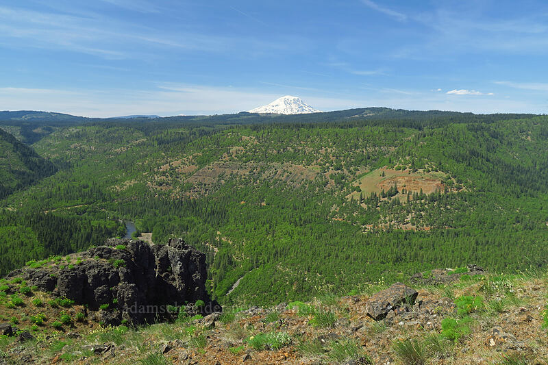 Klickitat Canyon & Mount Adams [Leidl Ridge, Klickitat Wildlife Area, Klickitat County, Washington]