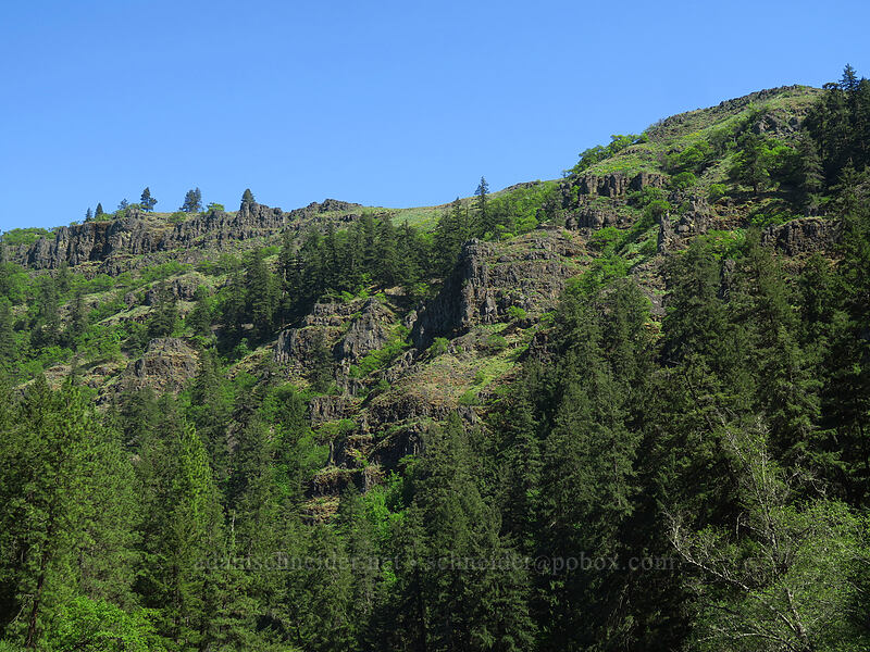 Leidl Ridge from below [Leidl Bridge, Klickitat Wildlife Area, Klickitat County, Washington]