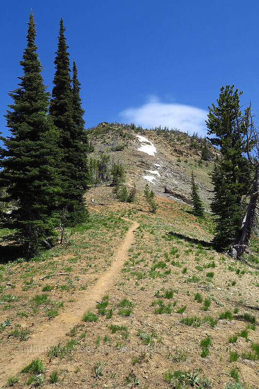 trail up Earl Peak [Earl Peak Trail, Wenatchee National Forest, Kittitas County, Washington]