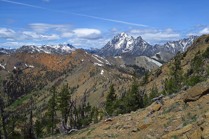 Mount Stuart [Earl Peak Trail, Wenatchee National Forest, Kittitas County, Washington]