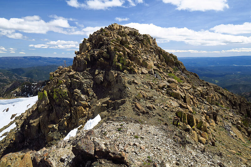 Earl Peak's summit [Earl Peak, Wenatchee National Forest, Kittitas County, Washington]