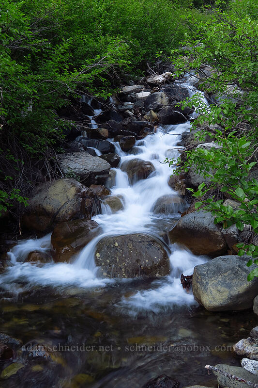 Bean Creek [Bean Creek Trail, Wenatchee National Forest, Kittitas County, Washington]