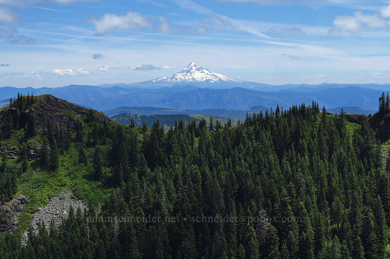 Mount Hood [Ed's Trail, Gifford Pinchot National Forest, Skamania County, Washington]