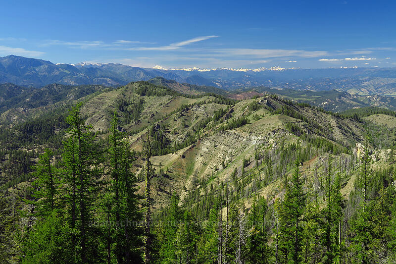 Tronsen Ridge [Tronsen Ridge Trail, Wenatchee National Forest, Chelan County, Washington]