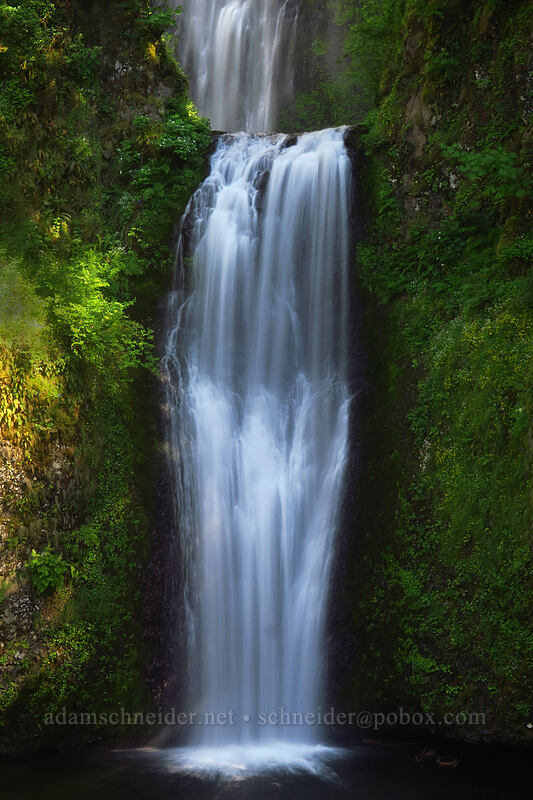 Lower Multnomah Falls [Multnomah Falls Trail, Mt. Hood National Forest, Multnomah County, Oregon]