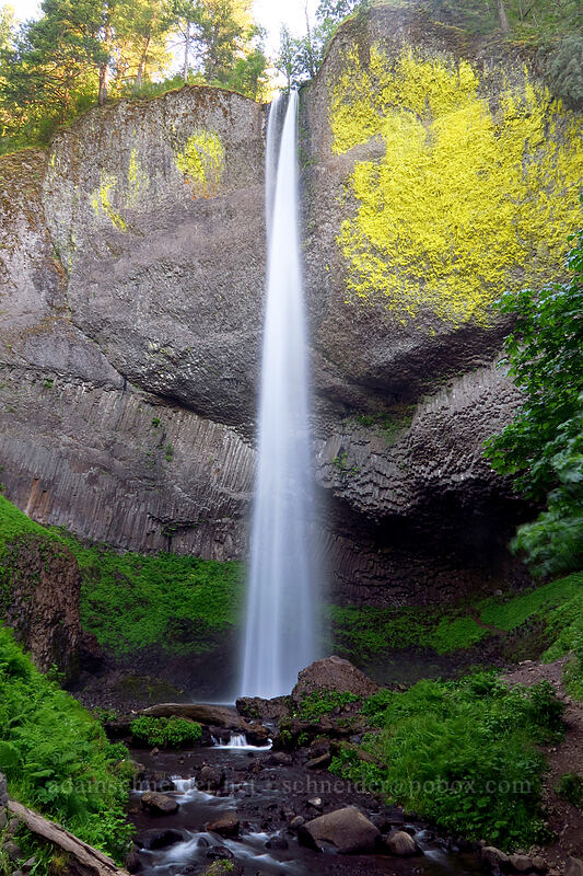 Lower Latourell Falls [Latourell Falls Trail, Guy W. Talbot State Park, Multnomah County, Oregon]