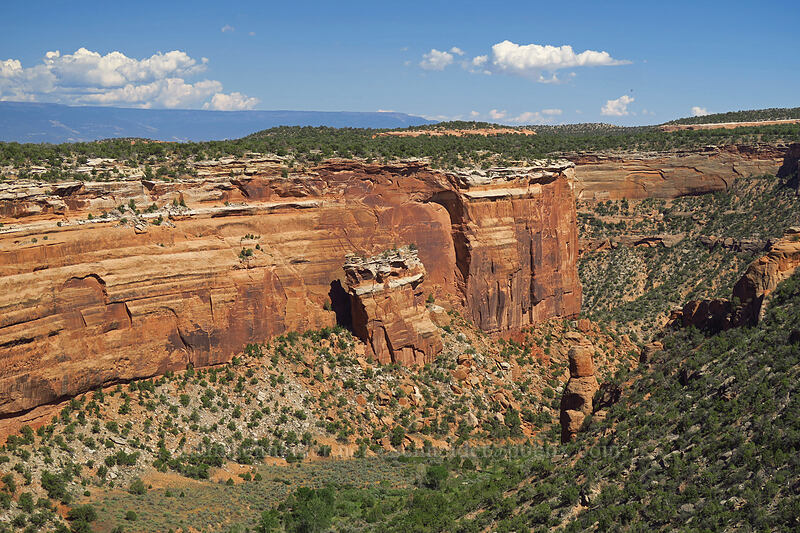 Fallen Rock & Ute Canyon [Fallen Rock Overlook, Colorado National Monument, Mesa County, Colorado]