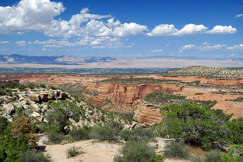 view to the northeast [Highland View Overlook, Colorado National Monument, Mesa County, Colorado]