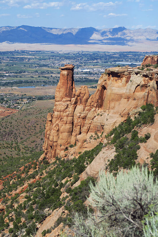 sandstone pinnacles [Rim Rock Drive, Colorado National Monument, Mesa County, Colorado]