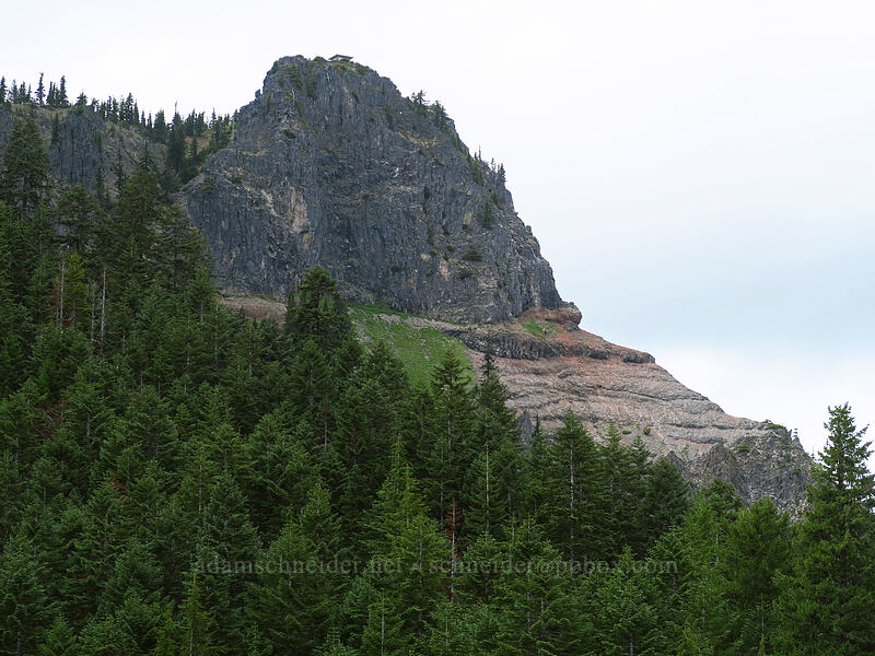 Coffin Mountain [Forest Road 1168-430, Willamette National Forest, Linn County, Oregon]