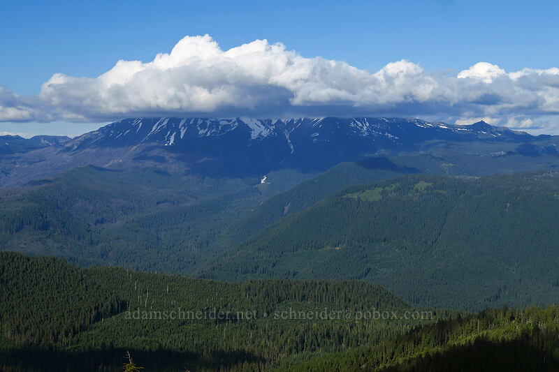 Mt. Jefferson hiding behind clouds [Bachelor Mountain summit, Willamette National Forest, Linn County, Oregon]