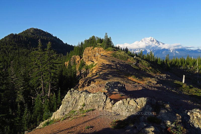 Bachelor Mountain & Mount Jefferson [Bachelor Mountain Trail, Willamette National Forest, Linn County, Oregon]