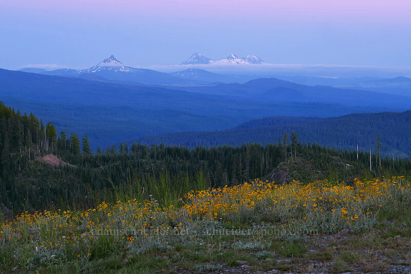 Mt. Washington & Three Sisters at sunset [Forest Road 1168, Willamette National Forest, Linn County, Oregon]