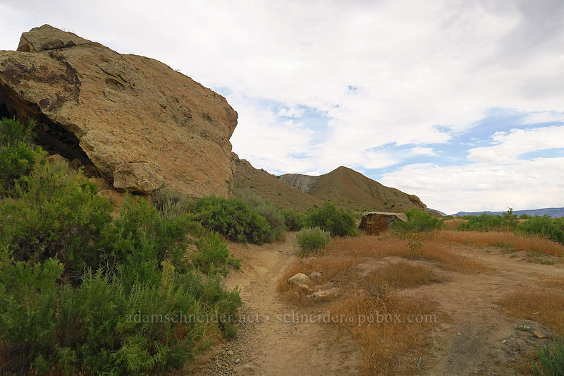 rocks [Fossil Discovery Trail, Dinosaur National Monument, Uintah County, Utah]