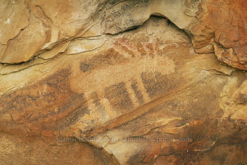 petroglyph [Fossil Discovery Trail, Dinosaur National Monument, Uintah County, Utah]
