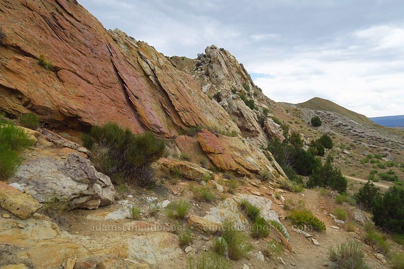 colorful Dakota sandstone [Fossil Discovery Trail, Dinosaur National Monument, Uintah County, Utah]
