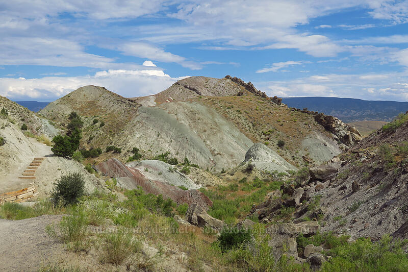 tilted fossil beds [Fossil Discovery Trail, Dinosaur National Monument, Uintah County, Utah]