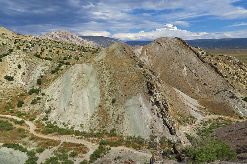 tilted fossil beds [Quarry Entrance Road, Dinosaur National Monument, Uintah County, Utah]
