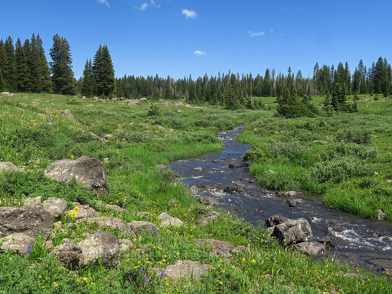 Kannah Creek [Forest Road 100, Grand Mesa National Forest, Mesa County, Colorado]