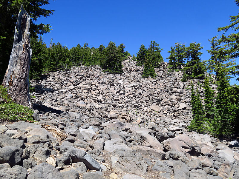 talus [Mt. McLoughlin Trail, Sky Lakes Wilderness, Jackson County, Oregon]