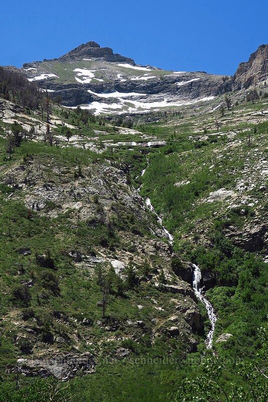 Thomas Peak & a cascade [Lamoille Canyon Road, Humboldt-Toiyabe National Forest, Elko County, Nevada]