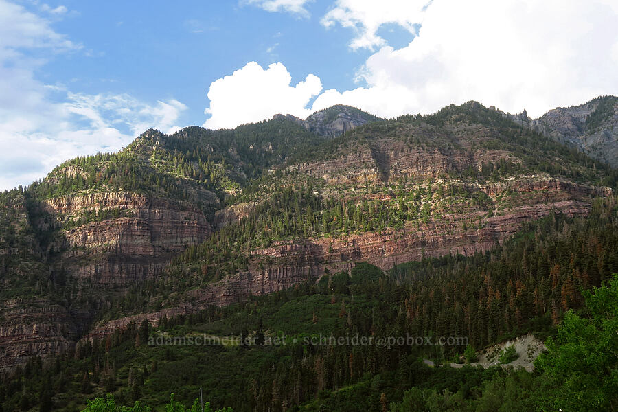 cliffs above Ouray [U.S. Highway 550, San Juan National Forest, Ouray County, Colorado]