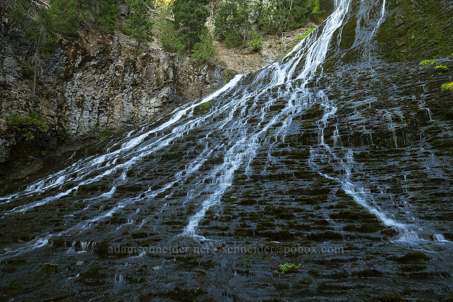 Walupt Creek Falls [Cispus River Canyon, Goat Rocks Wilderness, Lewis County, Washington]