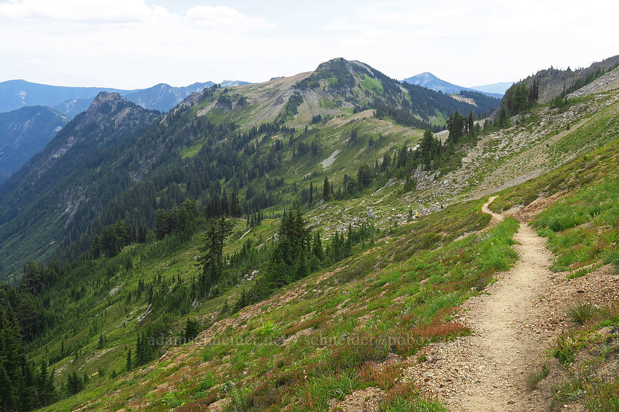 the trail [Pacific Crest Trail, Goat Rocks Wilderness, Yakima County, Washington]