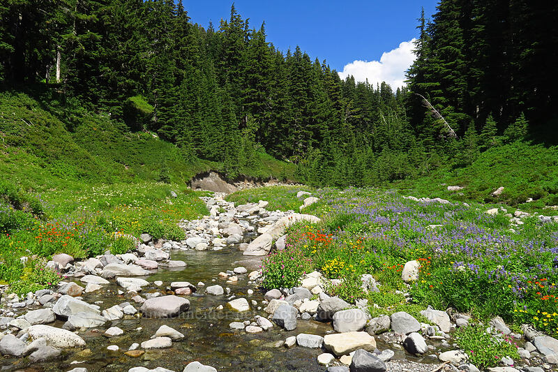 South Breitenbush River & wildflowers [South Breitenbush River, Mt. Jefferson Wilderness, Marion County, Oregon]