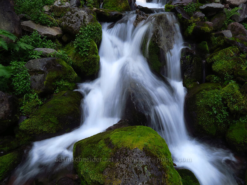 Grant Creek [Spray Falls Spur Trail, Mount Rainier National Park, Pierce County, Washington]