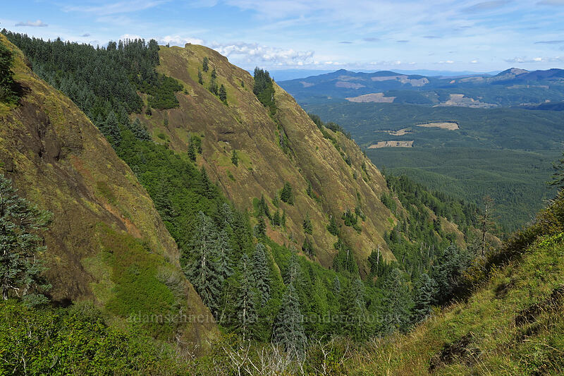 north ridge of Saddle Mountain [Saddle Mountain Trail, Saddle Mountain Natural Area, Clatsop County, Oregon]