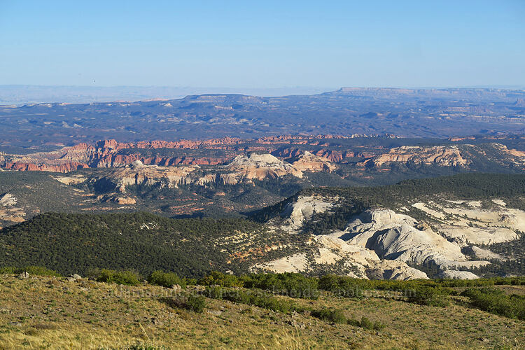 view to the southeast [Homestead Overlook, Fishlake National Forest, Garfield County, Utah]