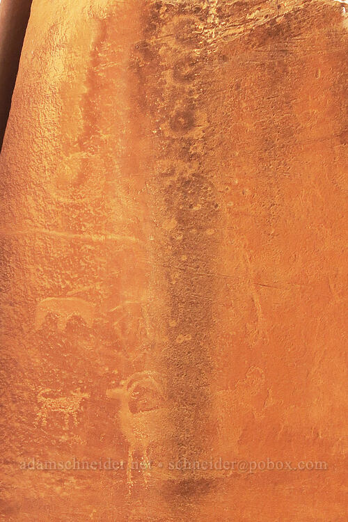petroglyphs [Petroglyphs Boardwalk, Capitol Reef National Park, Wayne County, Utah]