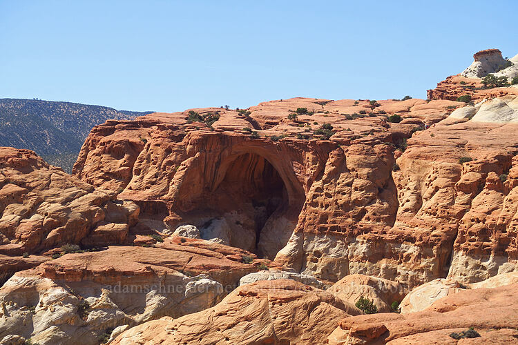 Cassidy Arch [Cassidy Arch Trail, Capitol Reef National Park, Wayne County, Utah]