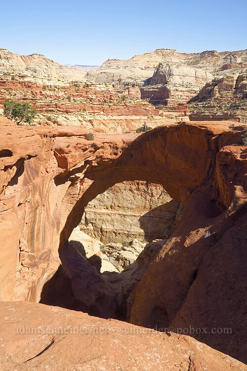 Cassidy Arch [Cassidy Arch Trail, Capitol Reef National Park, Wayne County, Utah]