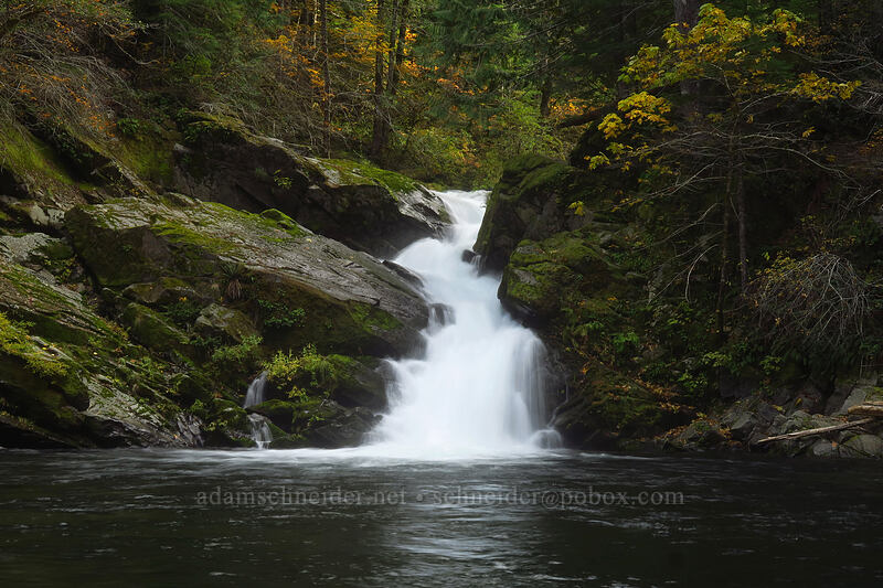 Siouxon Falls [Siouxon Creek Trail, Gifford Pinchot National Forest, Skamania County, Washington]