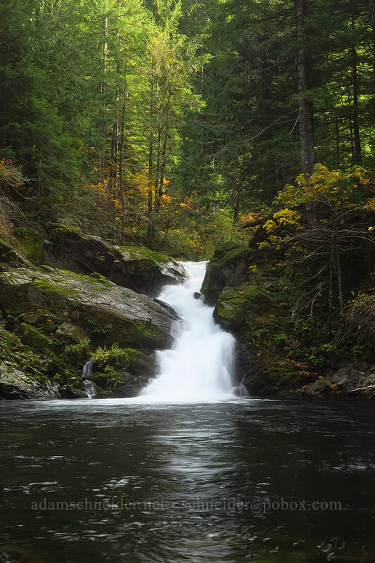 Siouxon Falls [Siouxon Creek Trail, Gifford Pinchot National Forest, Skamania County, Washington]