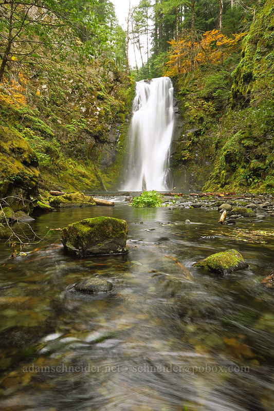 Chinook Falls [Siouxon Creek Trail, Gifford Pinchot National Forest, Skamania County, Washington]