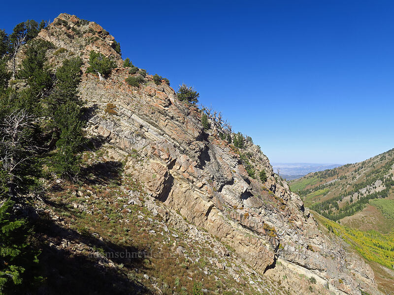 edge of Mount Raymond [Mount Raymond, Mount Olympus Wilderness, Salt Lake County, Utah]