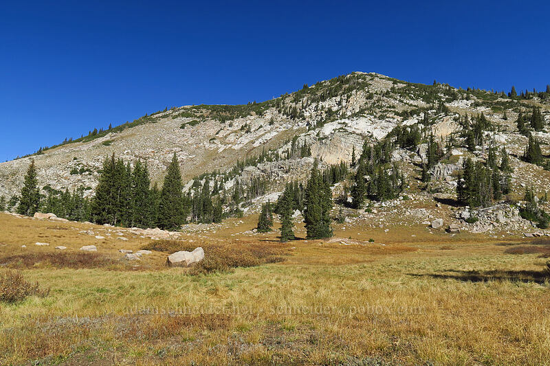 Mount Wolverine [Catherine Pass Trail, Uinta-Wasatch-Cache National Forest, Salt Lake County, Utah]