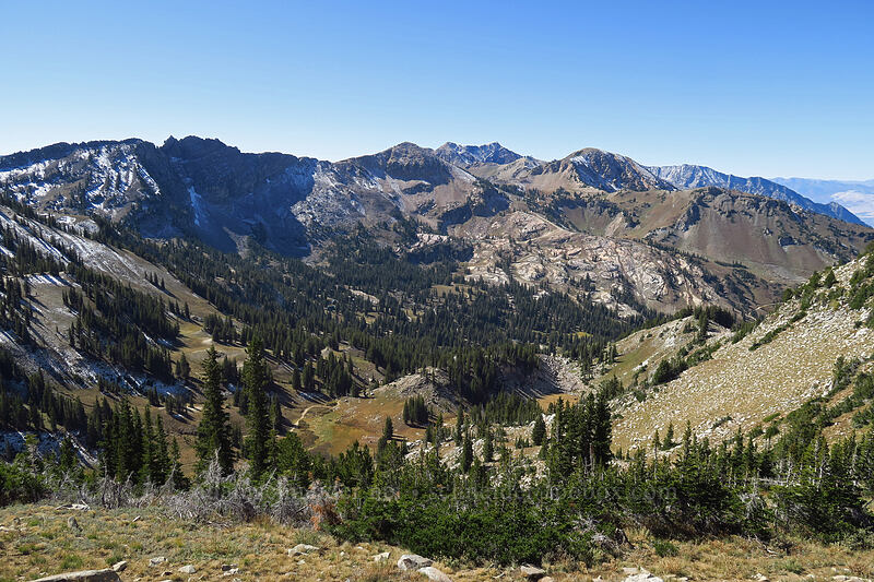 Albion Basin [Mount Tuscarora, Uinta-Wasatch-Cache National Forest, Salt Lake County, Utah]
