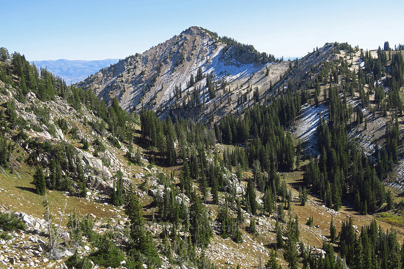 Catherine Pass [Mount Wolverine, Uinta-Wasatch-Cache National Forest, Salt Lake County, Utah]