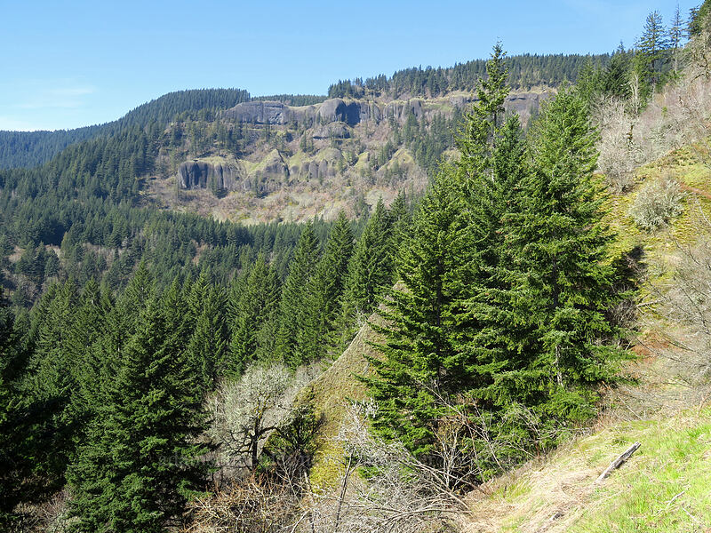 valley below Archer Mountain [Archer Mountain, Gifford Pinchot National Forest, Skamania County, Washington]