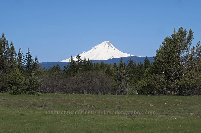 Mount Hood [White River Wildlife Area, Wasco County, Oregon]